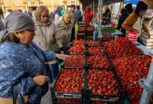 Продукты до 20% дешевле рынка предлагают на ярмарках "Дала дәмі"