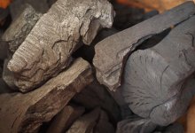 Где купить уголь в Астане: опубликован список адресов