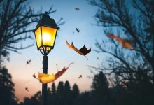 Где в Алматы временно обесточат дома 8 октября