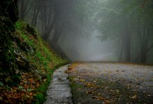 Плохая видимость и гололед: предупреждение для водителей двух областей Казахстана