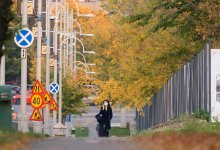 В Шымкенте потеплеет до +26: погода на рабочую неделю
