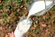 Любителям камелчино приготовиться: Казахстан вводит новый стандарт на верблюжье молоко