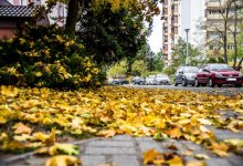 Последние теплые дни: погода в Шымкенте на 17 октября