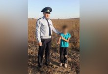 Семилетний мальчик потерялся в поле в области Абай (ВИДЕО)