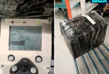 В самолет до Узбекистана чуть не погрузили 31 кг грибов с радиацией в 10 раз выше нормы
