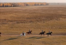 Казахстанские всадники заняли весь пьедестал международного турнира Allur Endurance CUP 2026