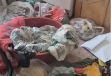 Четверо детей в грязи и без еды: что обнаружили полицейские в Риддере (ВИДЕО)