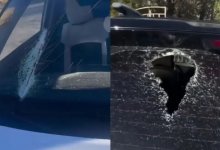 Бутылка с мочой влетела в салон авто на трассе в Казахстане: полиция нашла водителя