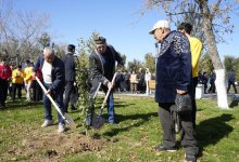 Обновленный современный центральный парк ввели в эксплуатацию в Уштобе
