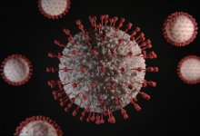 Новая угроза из Европы? Вирус, косивший скот, впервые убил человека