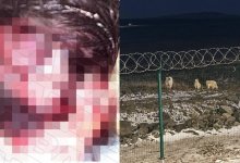 Содранный скальп и разорванные руки: медведь растерзал рабочего на Таймыре