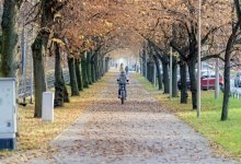 Какой будет погода в Шымкенте в последние дни октября