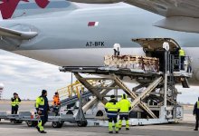 1100 овец прилетели из Австралии в аэропорт Астаны