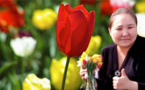 Акима не накажут за сорванные тюльпаны в Актюбинской области