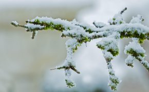 Осадки накроют почти весь Казахстан 5 декабря