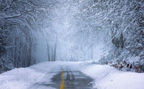 Движение всех видов транспорта ограничивают в одной из областей Казахстана