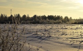 Поиски охотника завершились трагически в Атырауской области