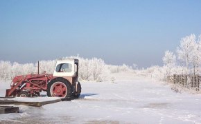 Трактор насмерть сбил рабочего на ферме в Акмолинской области