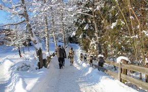 Снег и сильный ветер придут в Астану и регионы Казахстана