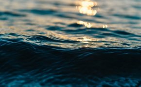 Река Карасу сменила цвет в Шымкенте (ВИДЕО)