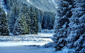 Туман и гололед ожидаются в некоторых городах Казахстана