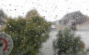 Моросящий дождь и туман ожидаются в Шымкенте