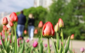 К 8 марта многодетные матери Акмолинской области получат социальные выплаты