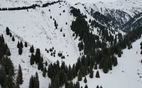 Лавины самопроизвольно сходят в горах близ Алматы