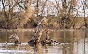 Поиски утонувшего ребенка продолжаются в Туркестанской области