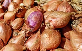 Лук в Казахстане может резко подорожать из-за убытков аграриев