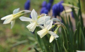 Переменная облачность и контраст температур ожидаются Шымкенте