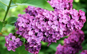 Когда потеплеет в Алматы, рассказали синоптики