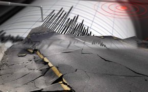 Землетрясение магнитудой 4,9 зафиксировали в Монголии