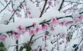 Дождь, снег, град и шквал обрушатся на Казахстан