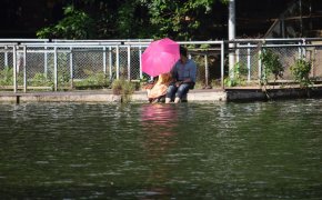 Жара до +31 резко сменится дождями и ветром в Шымкенте