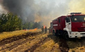 Лесной пожар тушат в ВКО