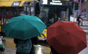 В Шымкент после дождей придет жара до +34