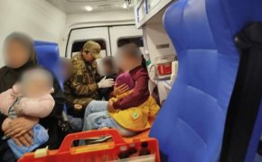 Шесть человек пострадало в ДТП с лошадью на трассе Кызылорда – Павлодар
