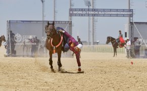 Второй чемпионат мира по теңге ілу собрал около 50 спортсменов в Туркестане