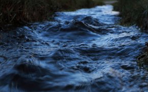10-летний мальчик утонул в канале "Нура-Есиль" в городе Косшы