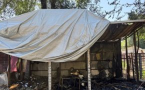 В Алматинском зоопарке произошел пожар