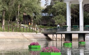 ДЧС Алматы выступил с заявлением из-за погоды 16 июня