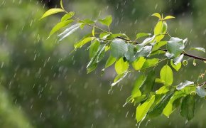 Кратковременные дожди с грозами и жара обрушатся на Алматы