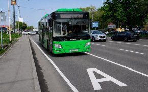 Жители Алматы смогут бесплатно пользоваться общественным транспортом в день выборов в Курултай