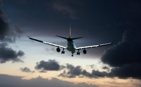 Чайка попала в двигатель самолета во время взлета в Усть-Каменогорске