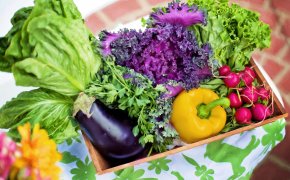 Где в Астане купить продукты по ценам ниже рыночных