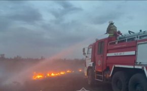 Огонь прошел более 14 га: в Акмолинской области потушили несколько степных пожаров