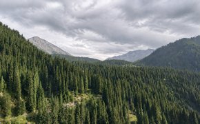 В Алматы ночью похолодает до +11 градусов