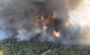 Пожар бушует на территории Баянаульского ГНПП (ВИДЕО)