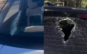 Бутылка с мочой влетела в салон авто на трассе в Казахстане: водитель избежал наказания